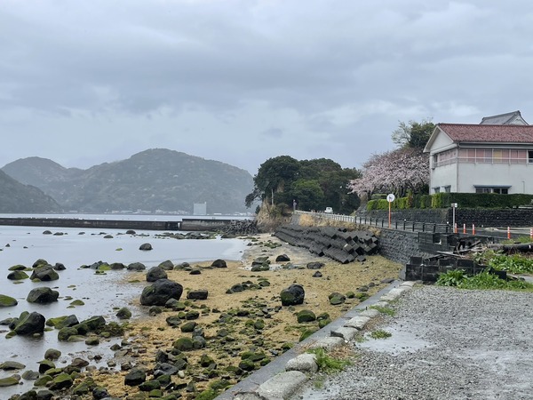 6C0B6626-9728-418C-8BCD-2EE1D919DE5F