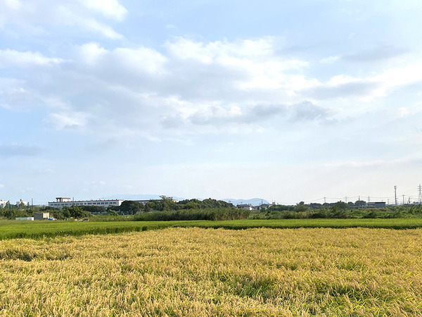 ooshima (10)
