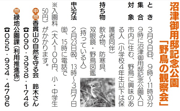 goyouteiYacho (11)