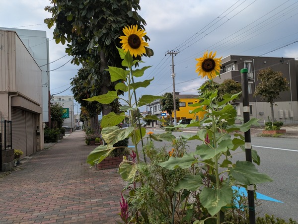 PXL_20250817_065015477