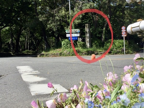 7563174D-760C-4468-8652-ACEF3E2F8370