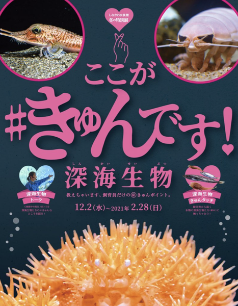 スクリーンショット 2021-01-06 14.13.04