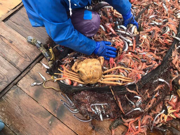 HEdaKnakoukyoukai (8)