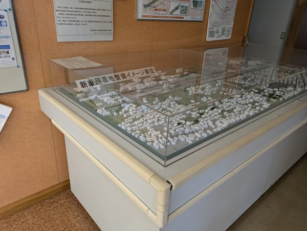 PXL_20241111_054855500