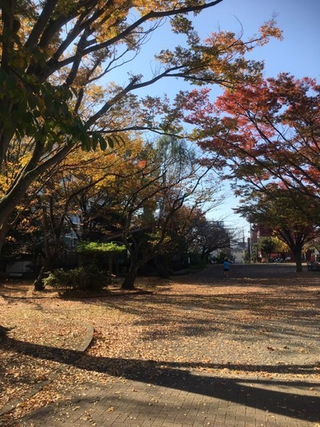 6EF256CB-6B59-494E-B1A8-05EE946D2C98