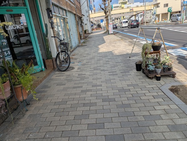 PXL_20250302_041510256