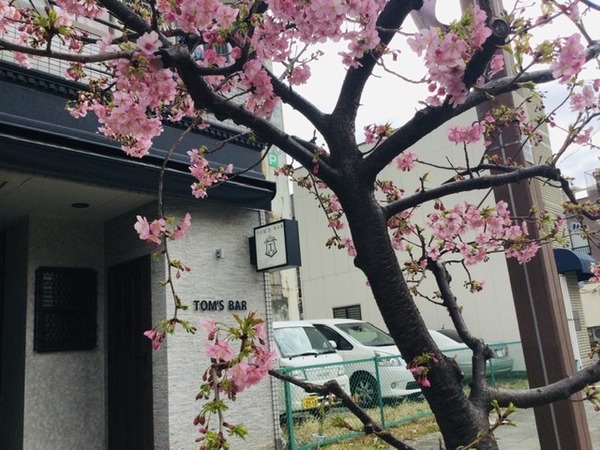 A6FD99A7-3357-43F5-95DF-BE7BE311CA59