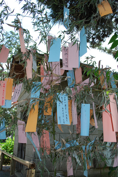 fuuuring (5)