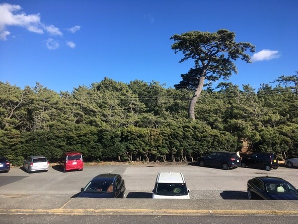 2E6C8E43-FBB3-4670-A7CE-241E98EADE9B