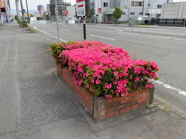 D9F8B02F-1843-4DBE-8D81-DE5D20031AB3