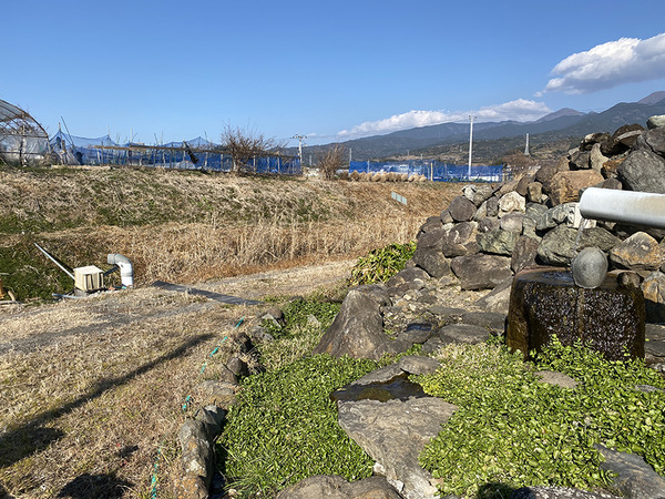 ukishima (5)