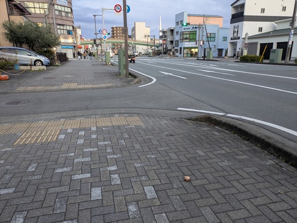 PXL_20250318_085832739