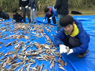 DBC401DA-A17E-4821-9024-4E68EFF88199