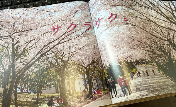 saiyou (9)