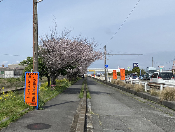 ootsukahodoukyou (4)