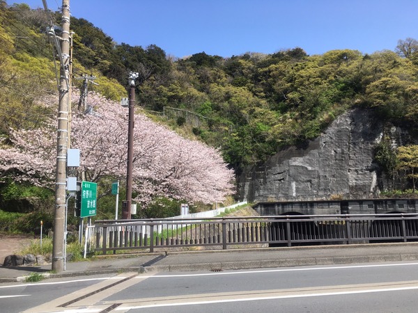 2B67C843-BE79-4942-AFFA-7E7F017EC721