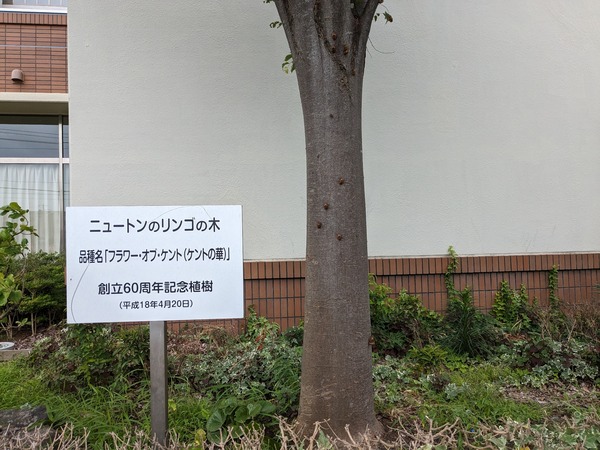 PXL_20230715_011207711