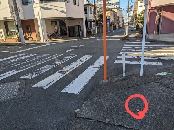 PXL_20240107_002041635~2