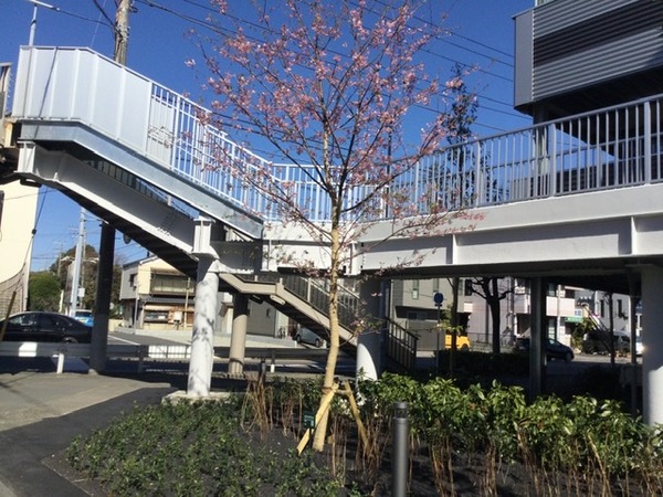 77148D04-05EC-4FCC-9CBD-8380C09E1974