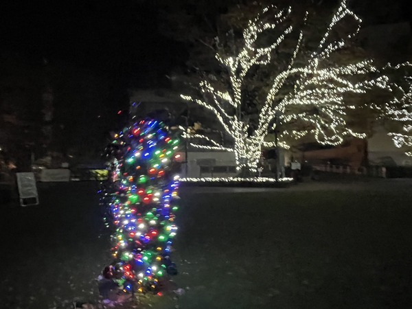 3BF4B1D6-D37A-4C96-BC65-F3EA71F817F4