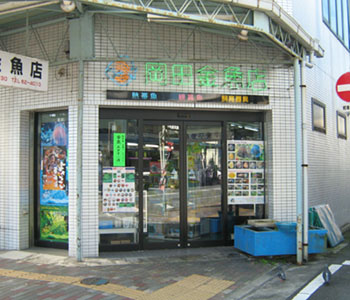 岡田金魚店