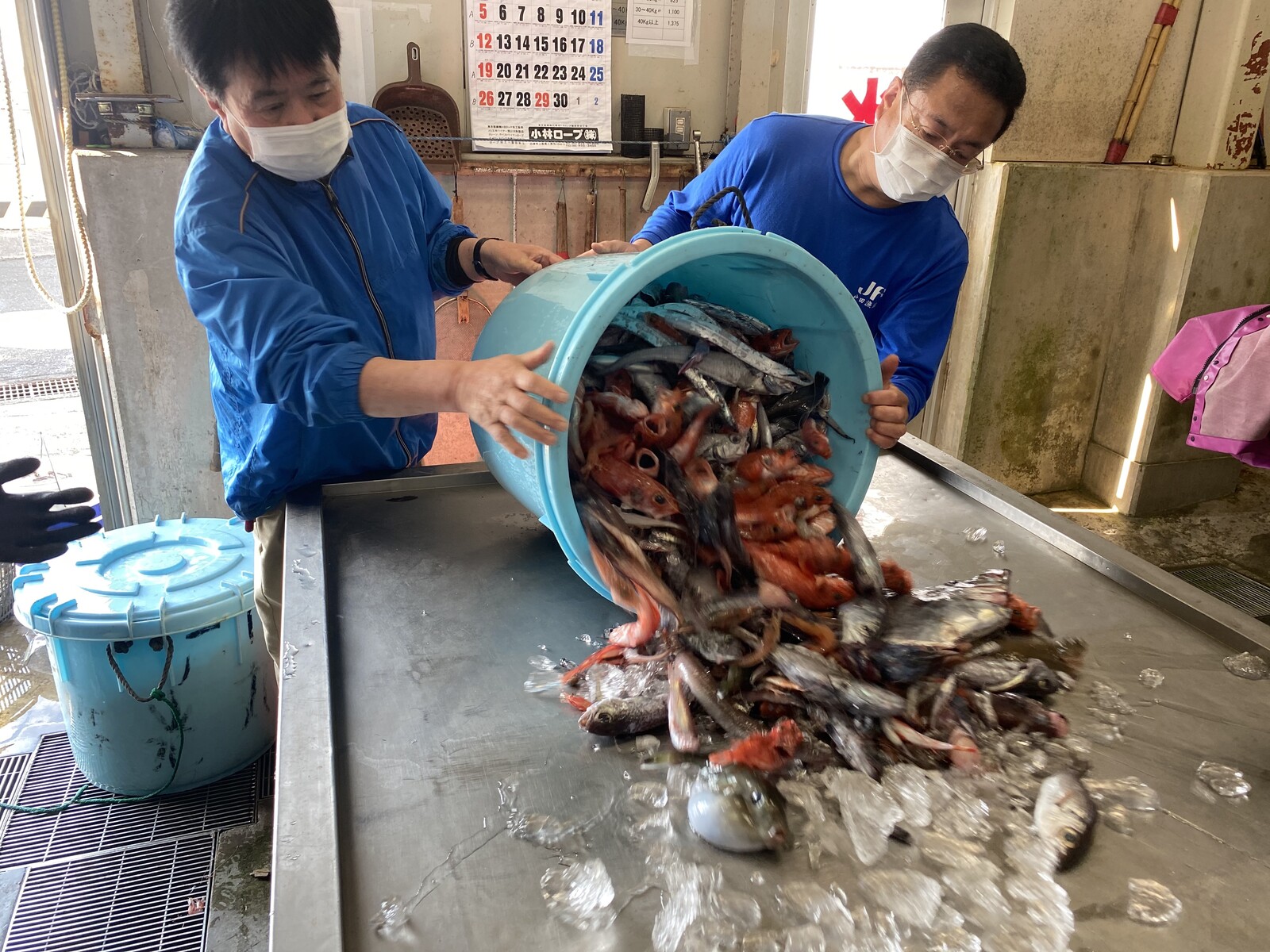 漁師さんとともに 沼津市戸田で深海魚直送はじまりました 沼津つーしん 漁師さんとともに 沼津市戸田で深海魚直送はじまりました 沼津つーしん