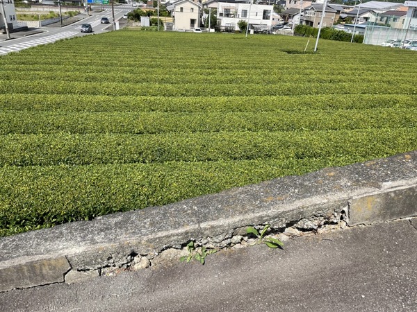 02C85C99-5EFE-4FFF-A32B-0E46F2ECC70E