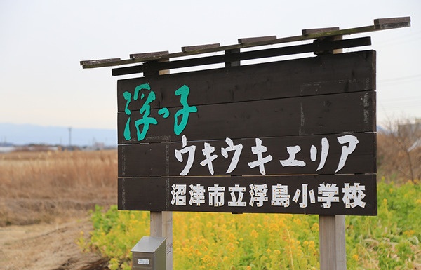 hl07