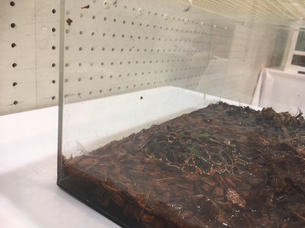 91A4F11E-9433-4A39-85D0-AABA53D071CD