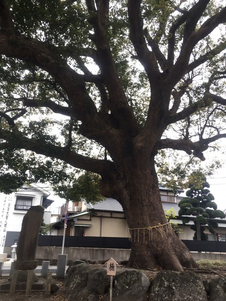 74BF6821-D914-41FB-B3E4-8F04AA6FE3E1