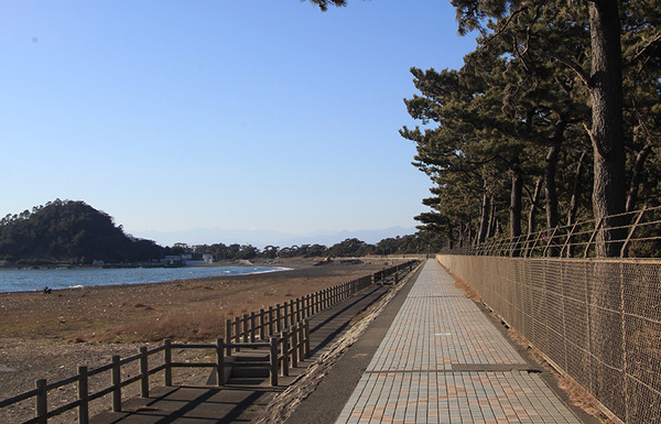 shio001