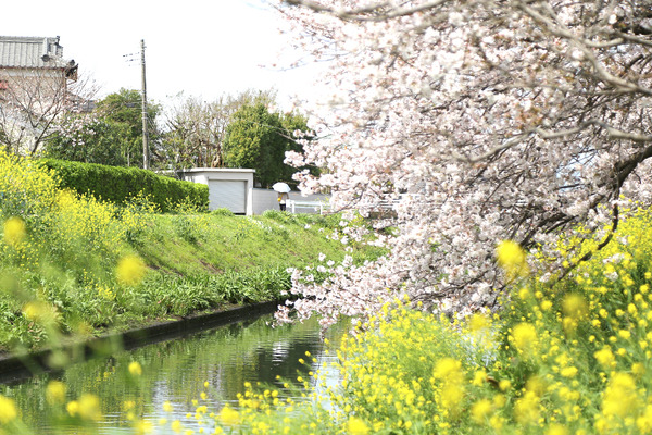 hakukinWALK (2)