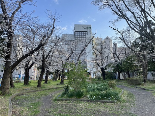 8D11EE05-27AB-4361-A054-212AD53BCC6D