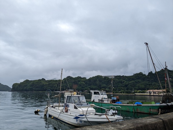 PXL_20230611_031448405