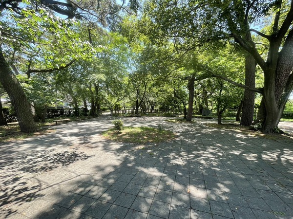 5FE3EDF9-EB58-4152-9E2A-E66E0907C390