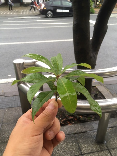 4FB9320B-4984-4EE8-AB40-81F7571910B8