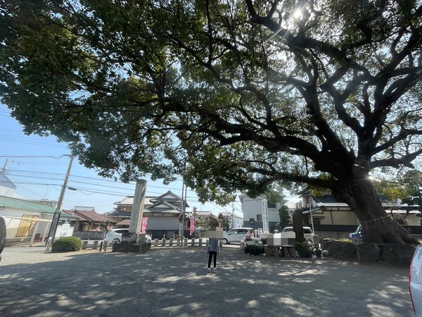 30AA1100-17C0-46C0-9F00-DBCA2F598770