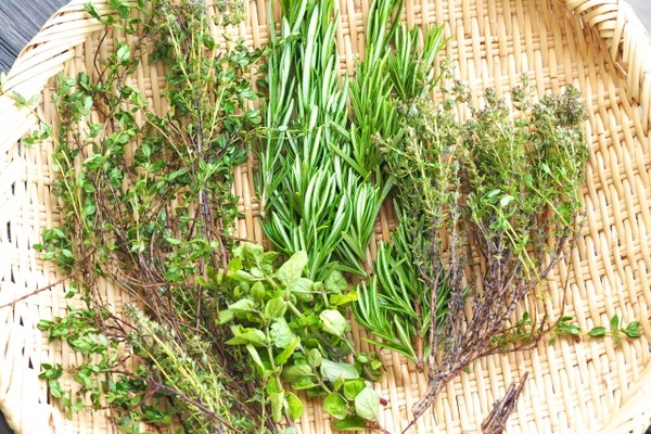 herbalLife (3)