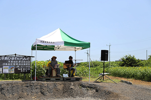 himawari (9)