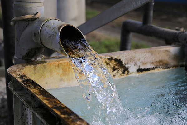 【ひゃっこい！湧水（112）】畑の近くの湧水（沼津市井出）