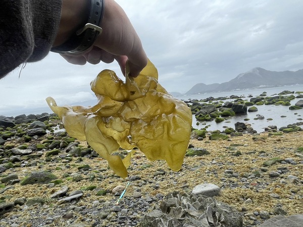 AE5AAFA7-8190-49BA-9132-D01227D0628E