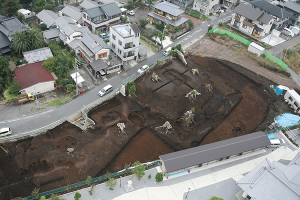 takaosan (2)