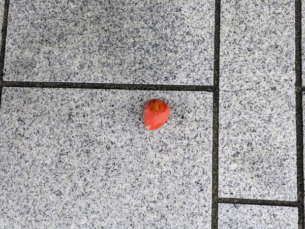 PXL_20240226_225846707