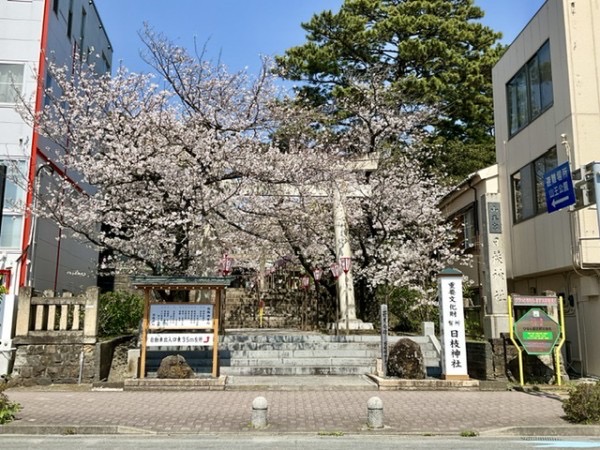 8B74911E-58DA-4CB9-8638-B2C62DD54E33