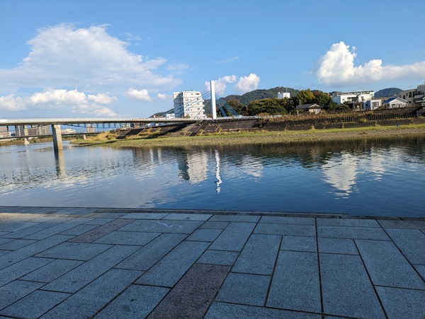 PXL_20231028_051829808