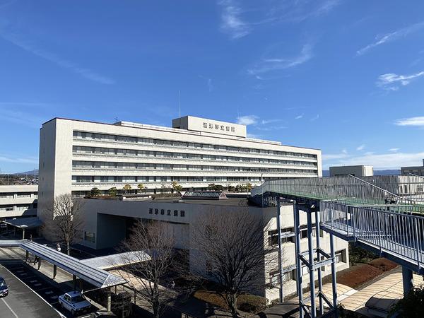 shinsatsu (7)