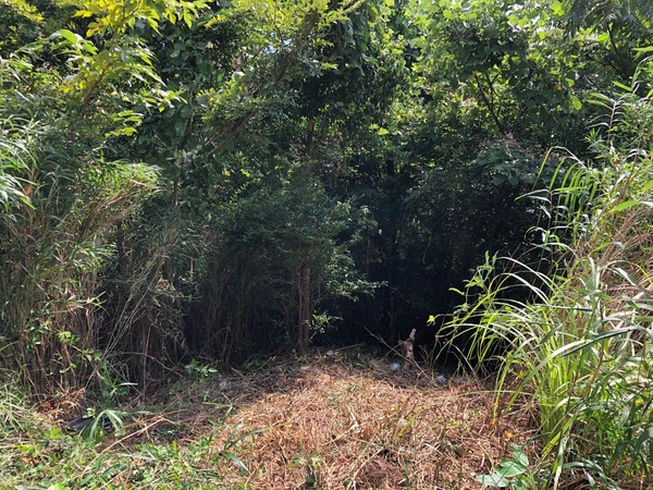 272245308_509824400458713_7878718419002367175_n