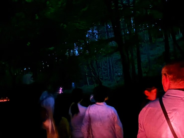 hotarumatsuri (6)