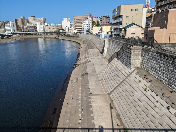 PXL_20230710_225244790