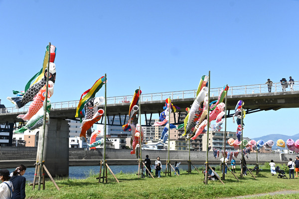 koinobori (5)